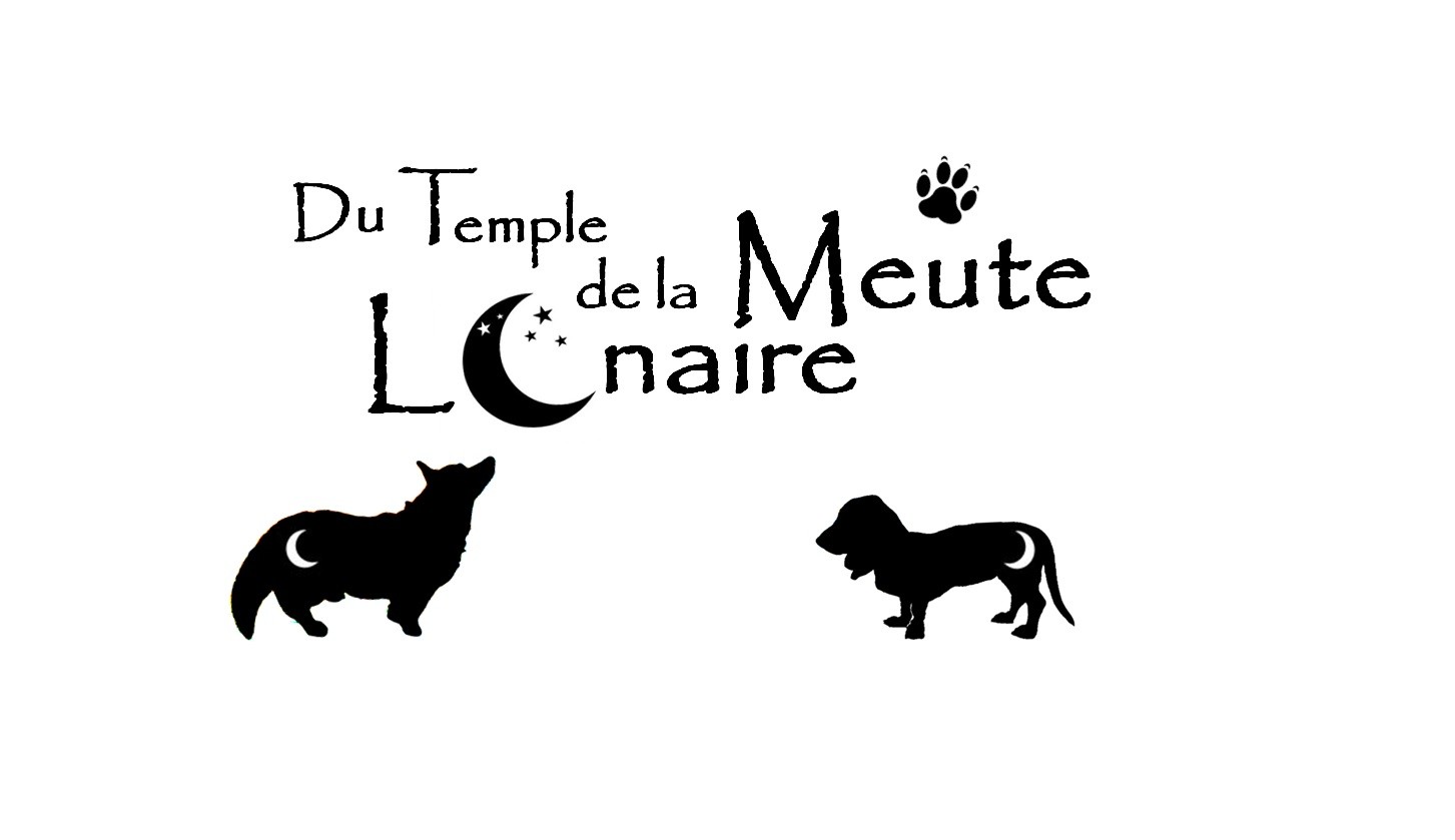 Du Temple De La Meute Lunaire